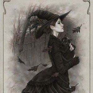 Meet your Posher, Deb